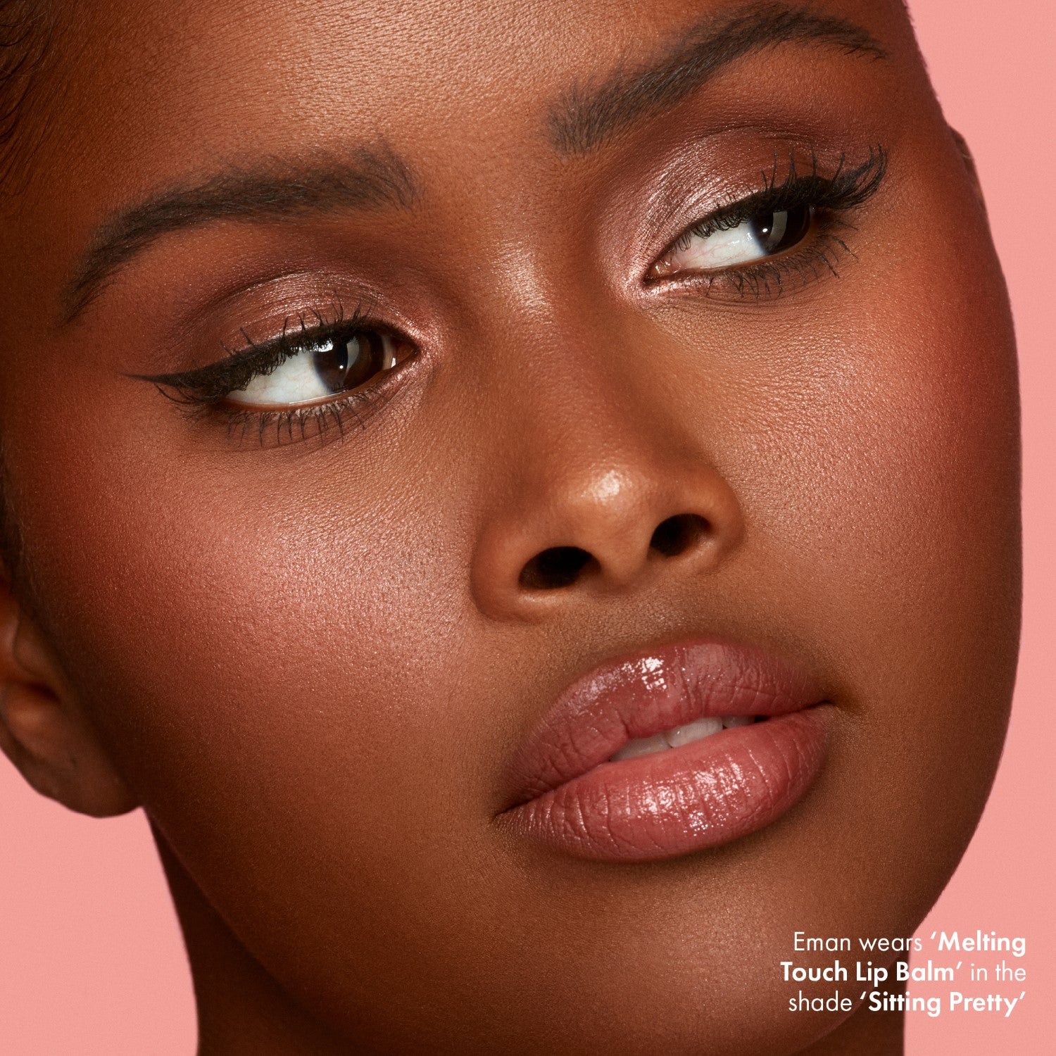 Melting Touch Lip Balm - Ultra Moisturizing & Nourishing Lip Care for Dry & Chapped Lips - Perfect for Winter, Travel & Daily Hydration