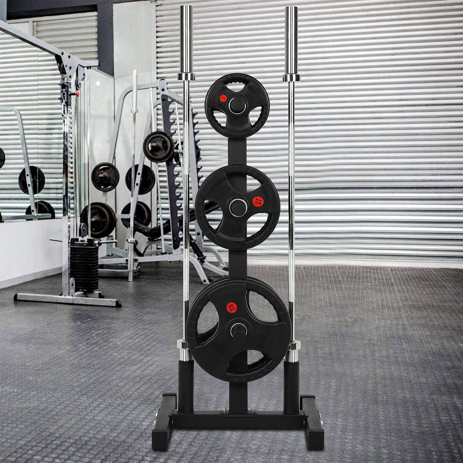 **DSVF Olympic Weight Plate Rack - 2
