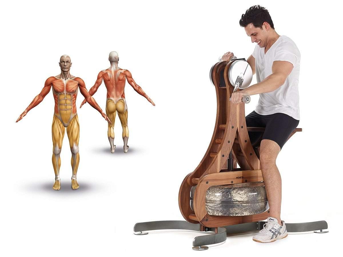 NOHrD WaterGrinder Upper Body Fitness Trainer - Portable Home Gym Equipment for Strength Training & Cardio - Perfect for Home Workouts, CrossFit & Rehabilitation Exercises