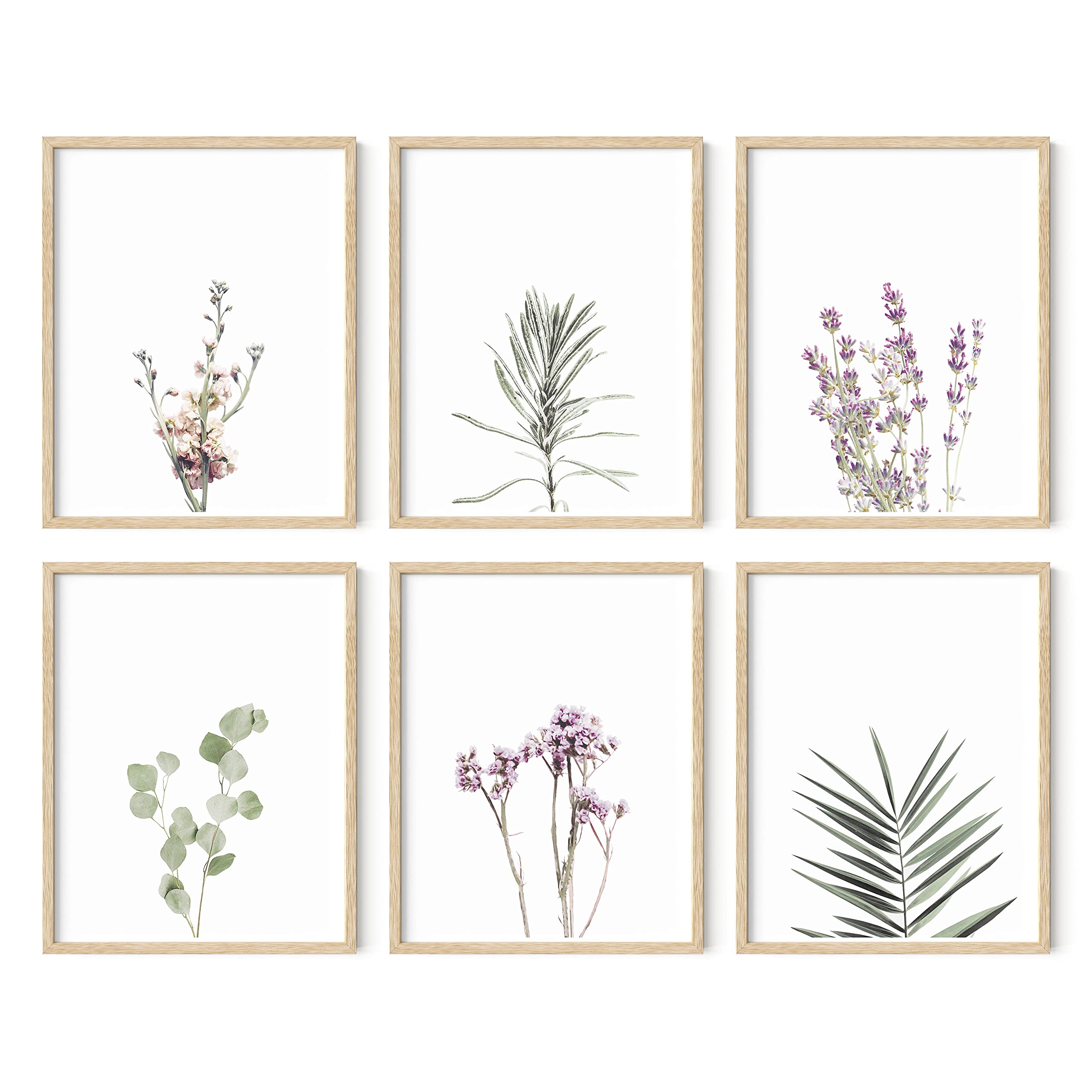 HAUS AND HUES Set of 6 Floral & Botanical Prints - Wildflower Wall Art, Plant Posters for Home Decor (11x14, Beige Frame) | Perfect for Living Room, Bedroom, Nursery & Office Wall Decor