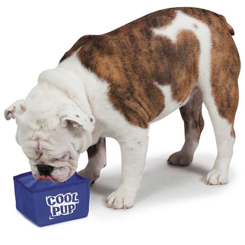 Cool Pup Portable Dog Bowl - Collapsible Travel Water & Food Dish for Dogs - Perfect for Hiking, Camping, and Outdoor Adventures