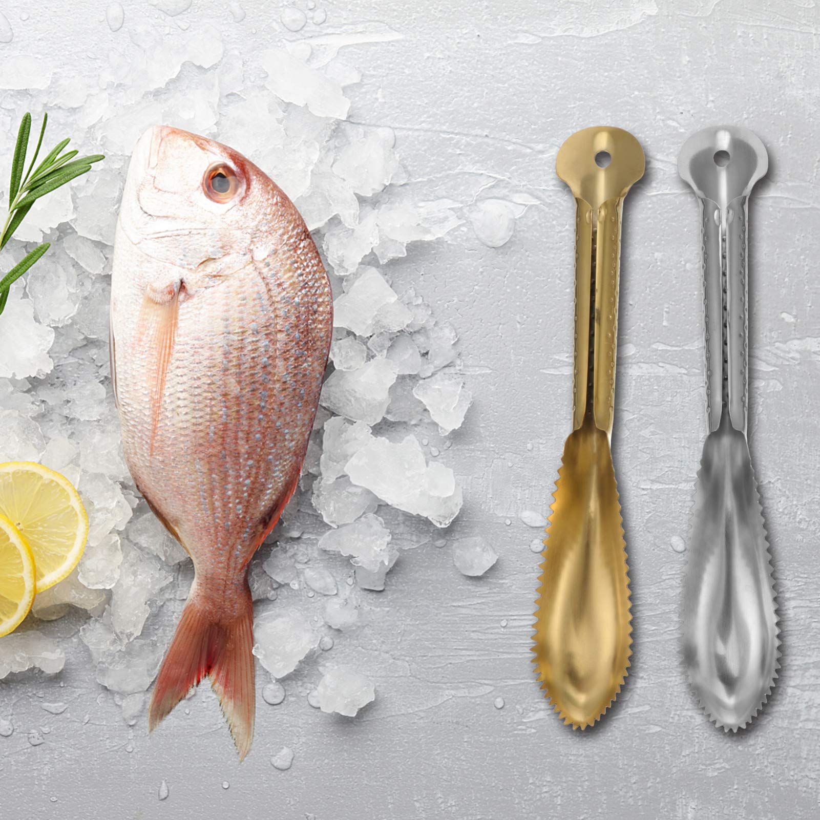 2Pcs Fish Scale Scraper - Stainless Steel Fish Descaler Tool for Kitchen, Ceramic Tile & Home Use - Easy Fish Cleaning Gadget for Freshwater & Saltwater Fish