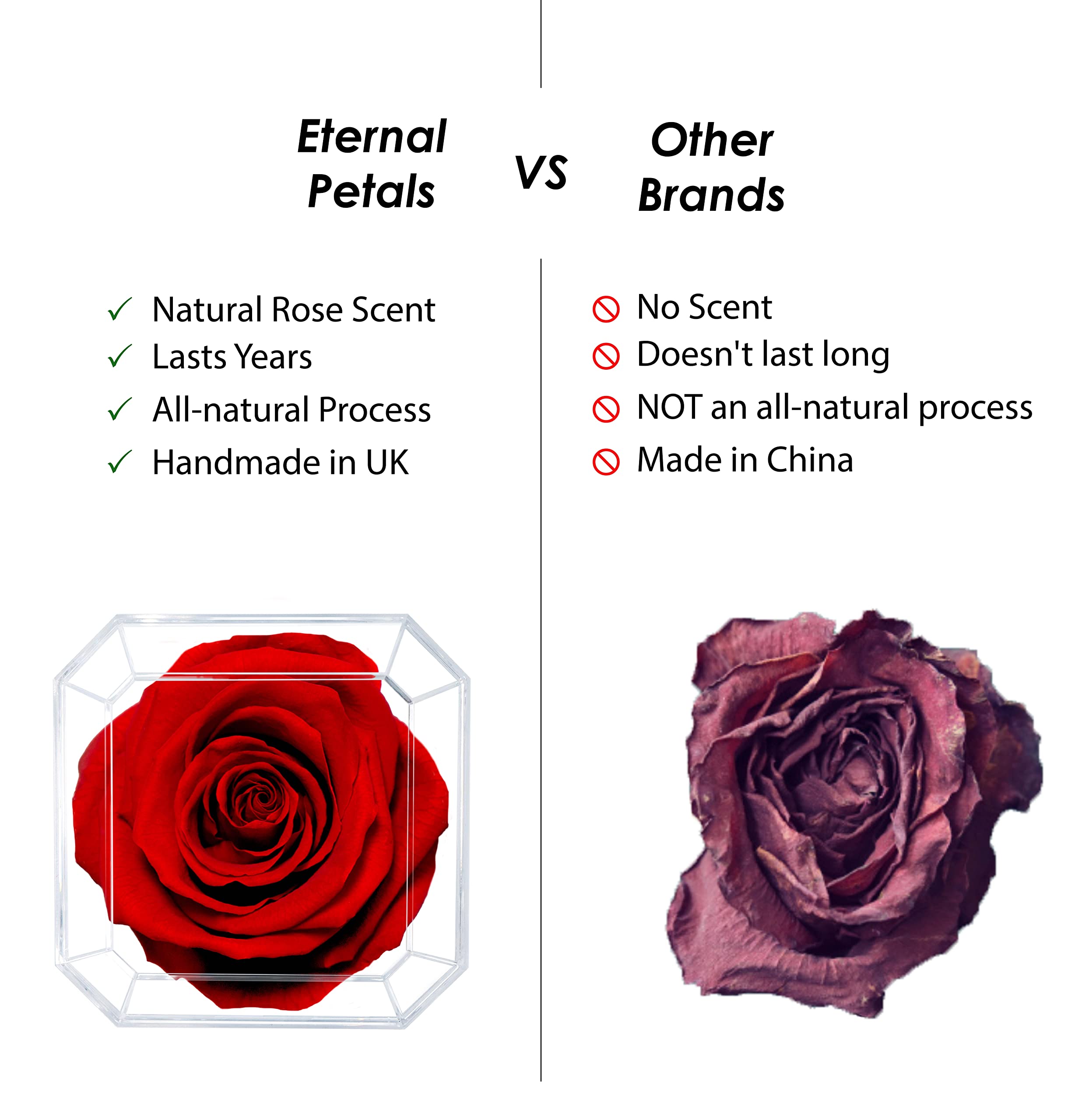 Eternal Petals Real Preserved Rose That Lasts 1 Year+ | Handmade in London | 24K White Gold Champagne Rose Gift | Perfect for Anniversaries, Valentine's Day & Romantic Occasions