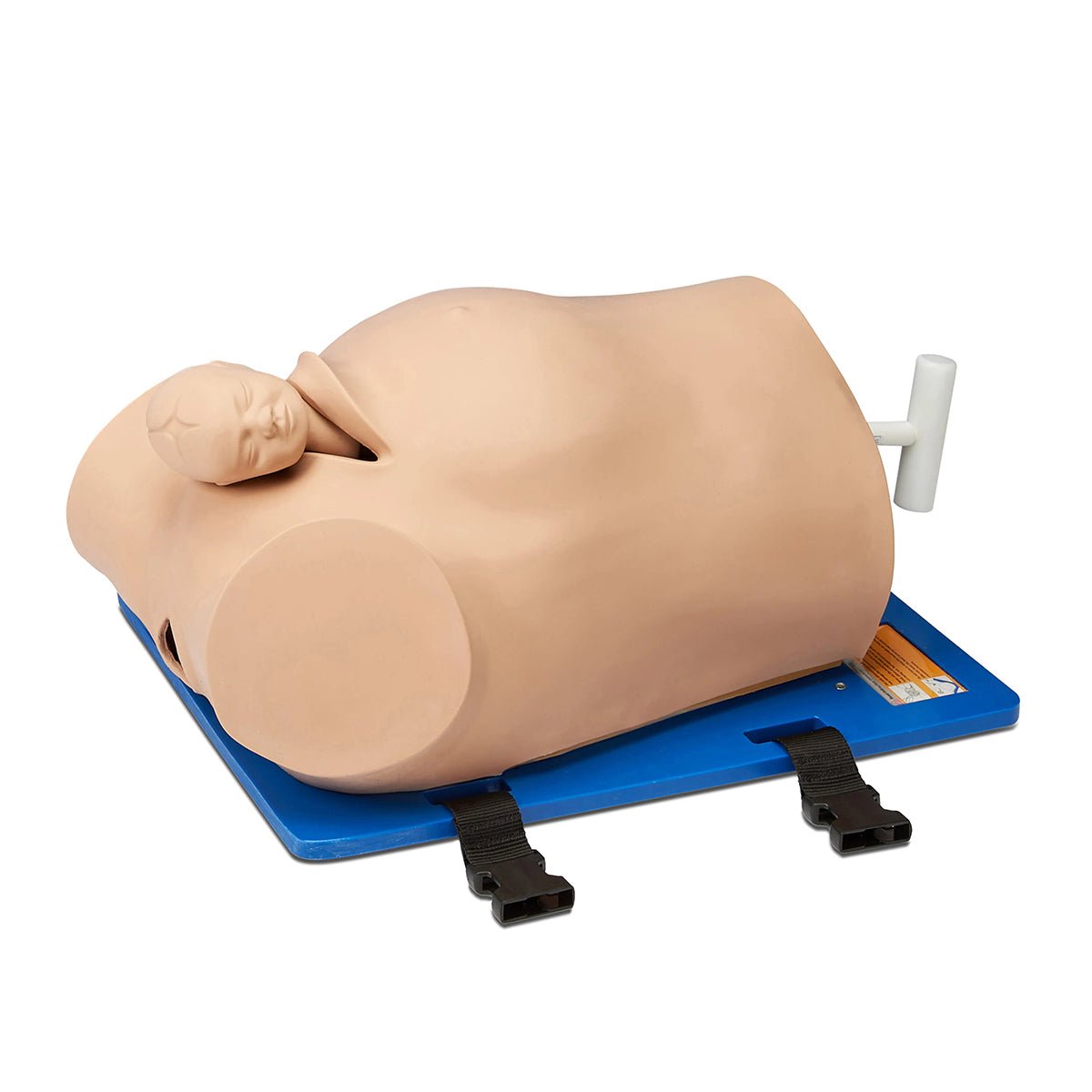 Debra Enhanced® Impacted Fetal Head Simulator - Realistic Birth Training Model for Obstetric Emergencies | Perfect for Medical Students, Midwives & OBGYN Practitioners