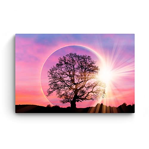 Purple Tree Sunset