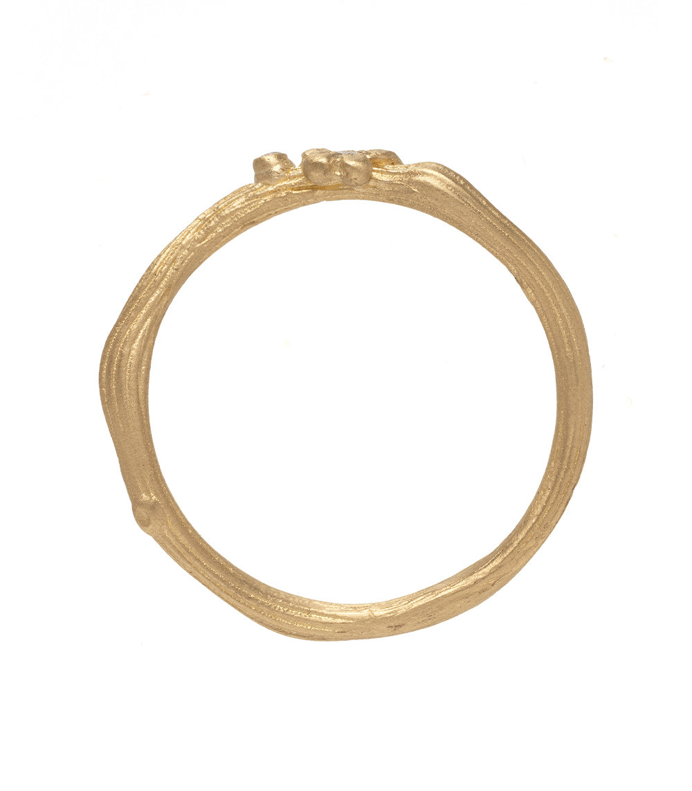 Organic Twig Nesting Band for Birds - Natural Bird Nesting Material, DIY Birdhouse Accessories - Perfect for Wild Birds, Garden & Backyard Bird Watching