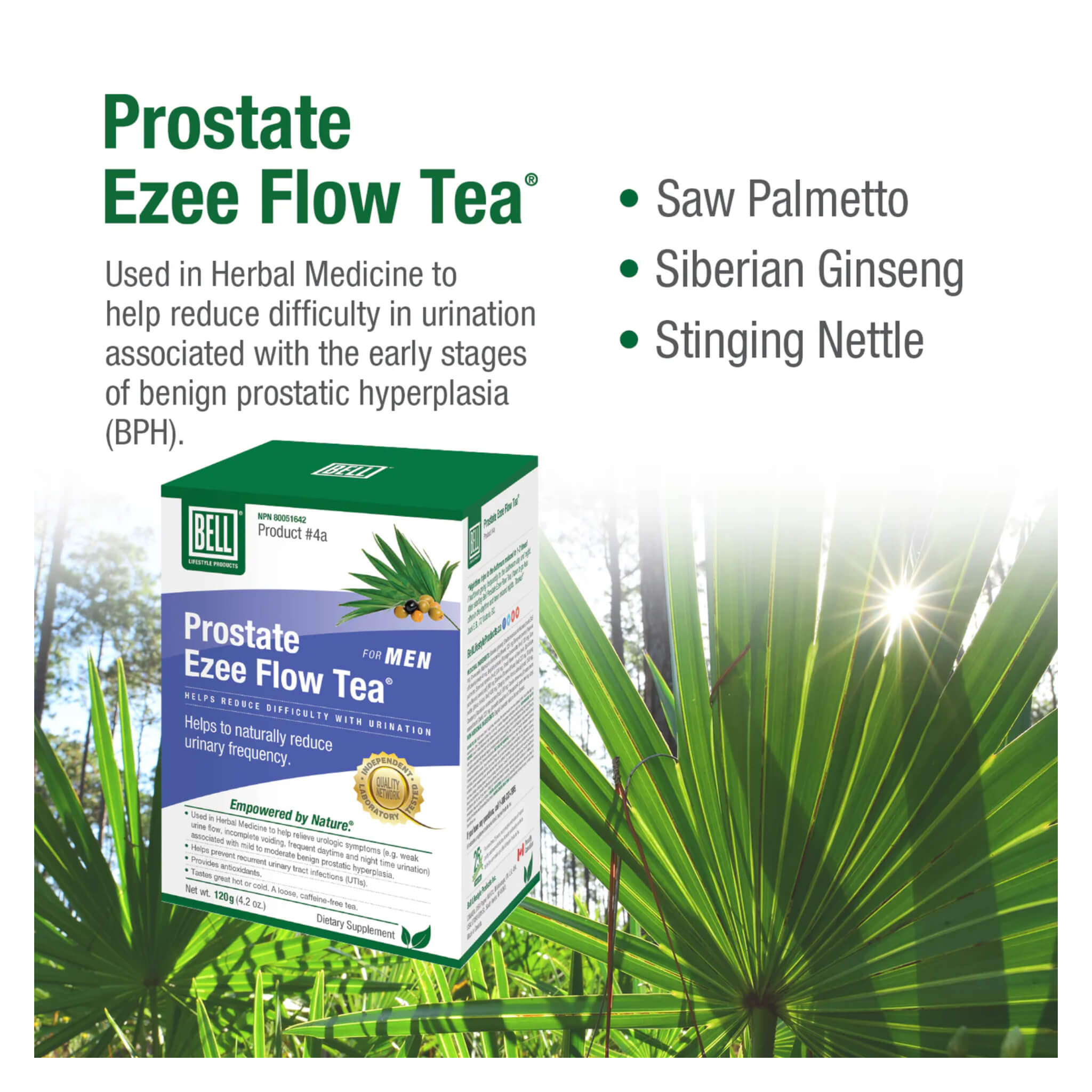 Prostate Ezee Flow Tea for Men - Natural Herbal Supplement for Prostate Health & Urinary Support - Perfect for Daily Wellness & Comfort
