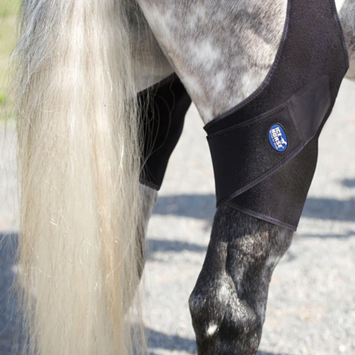 Ice Horse Stifle Wrap for Horses - Support & Protection for Joint Injuries, Arthritis & Recovery - Perfect for Training, Riding & Post-Surgery Care