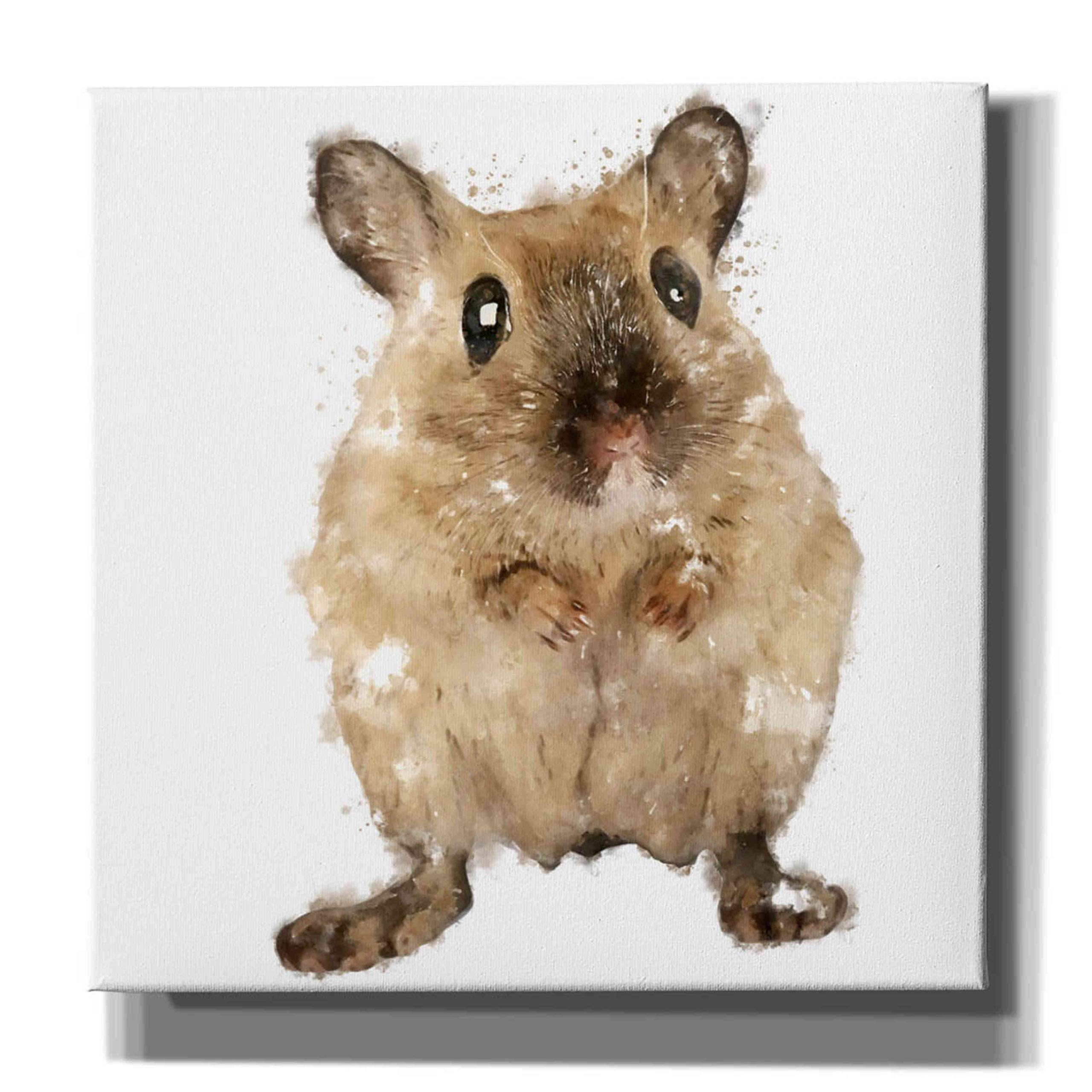 Epic Graffiti 'Curious Mouse' by Kim Curinga - 37x37 Inch Modern Canvas Wall Art for Living Room, Bedroom & Office Decor