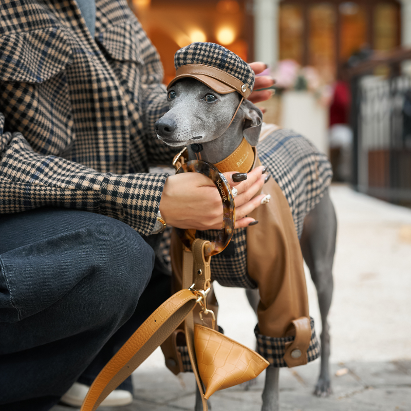 Ashwood Dog Hat - Stylish & Comfortable Pet Accessory for Small & Medium Dogs - Perfect for Outdoor Walks, Photos & Special Occasions