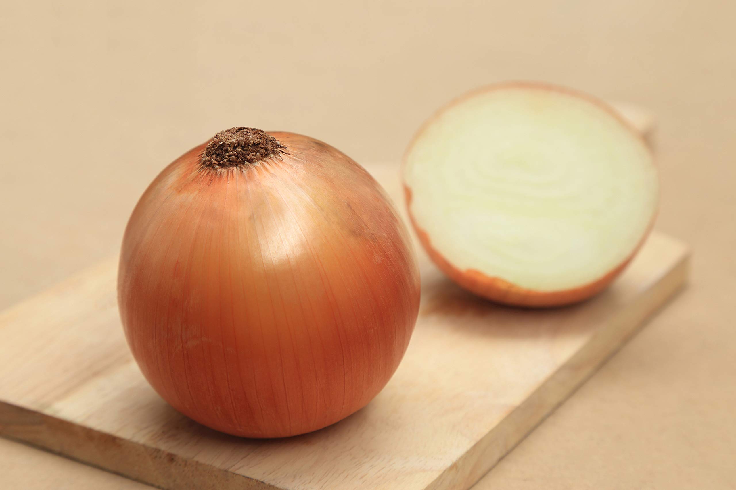 Organic Onion and Candy Hybrid Seeds for Planting - Non-GMO, High Germination Rate - Perfect for Home Gardens, Urban Farming & DIY Herb Kits