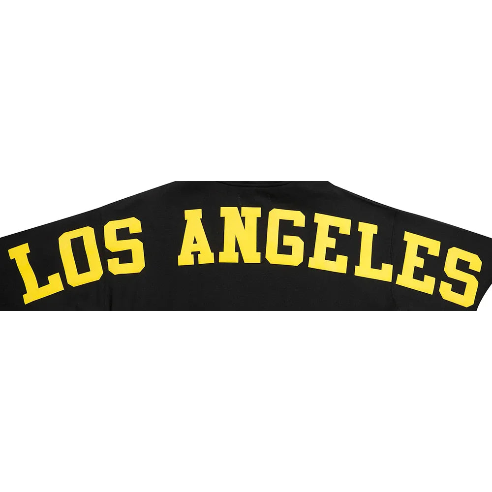 Men's Pro Standard Los Angeles Lakers Wingspan Pullover Hoodie - Black | NBA Fan Gear, Basketball Apparel for Game Day & Casual Wear