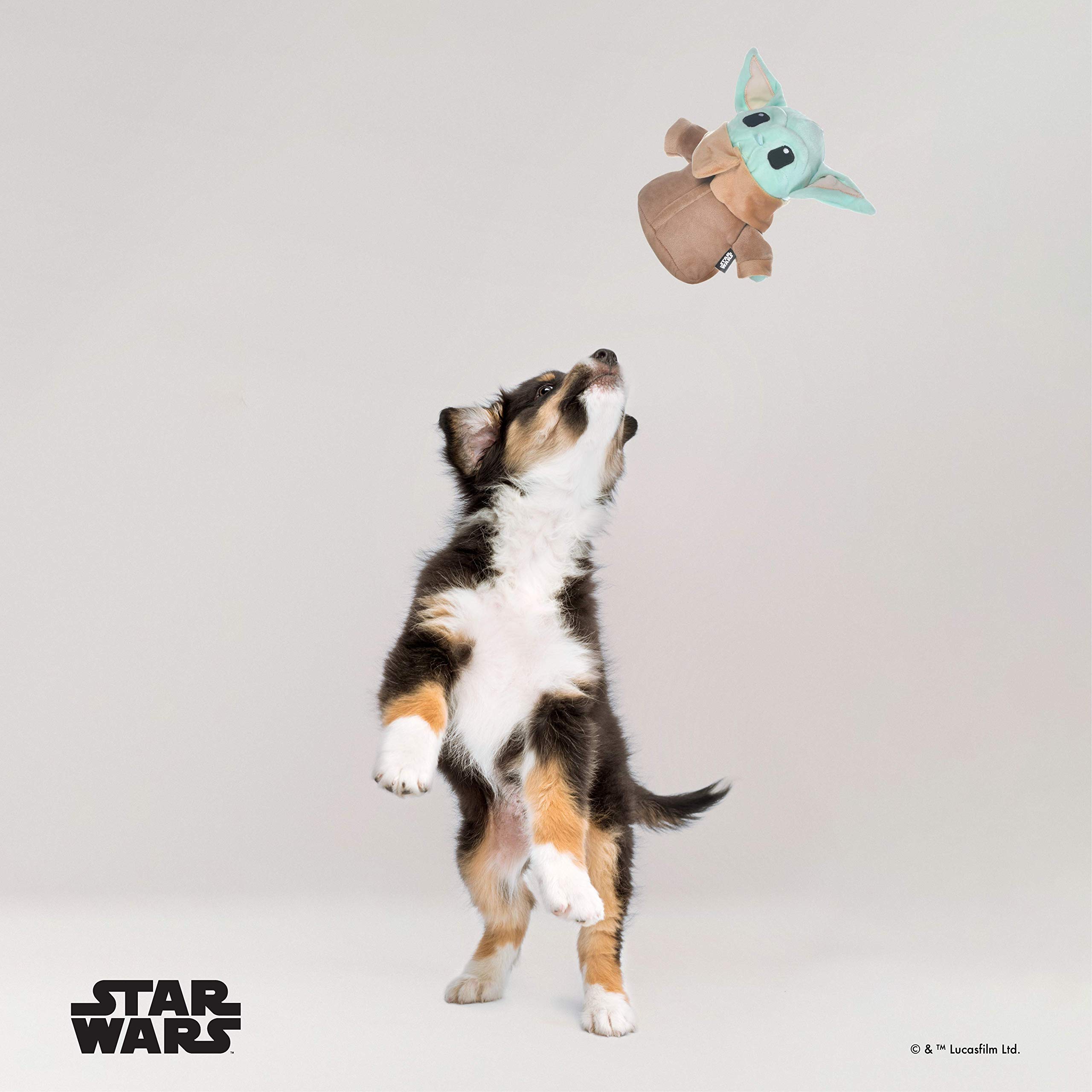Star Wars The Mandalorian Plush Dog Toy - 6 Inch Soft Squeaky Pet Toy with Child Figure | Safe Chew Toy for Small & Medium Dogs | Perfect for Playtime, Training & Cuddling