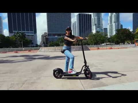 Freego F12 12 Inch Foldable Electric Scooter for Adults - 500W Motor, 25 MPH Max Speed, 18-25 Mile Range - Perfect for Commuting, Campus Travel & Urban Exploration