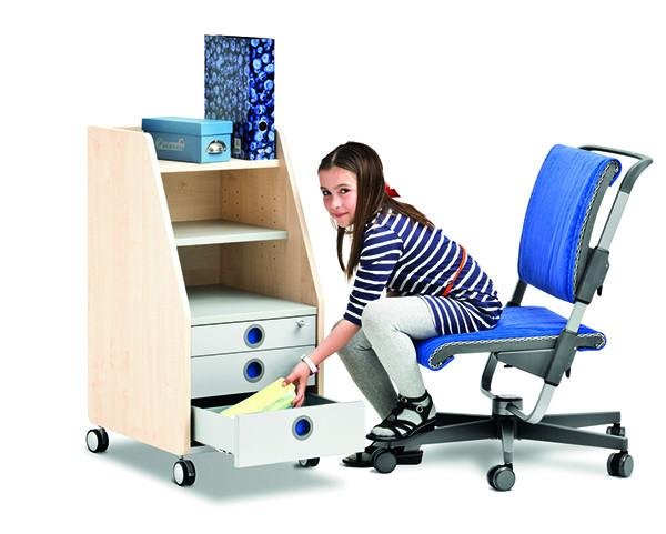 Moll Profi Ergonomic Office Chair - Adjustable Height & Lumbar Support for Home & Workspace Comfort