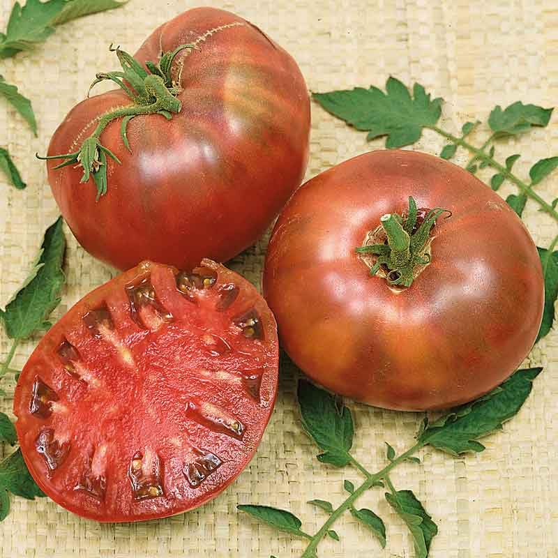 Eden Brothers Cherokee Purple Tomato Seeds - Non-GMO Heirloom Vegetable Seeds for Planting, 1/4 lb | Low-Maintenance, High-Yield, Warm Season Planting | Perfect for Home Gardens, Raised Beds & Containers in USDA Zones 3-10