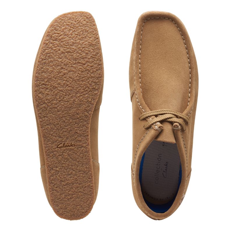 Men's Shacre II Running Shoes - Lightweight & Breathable for Jogging, Gym Workouts & Daily Wear