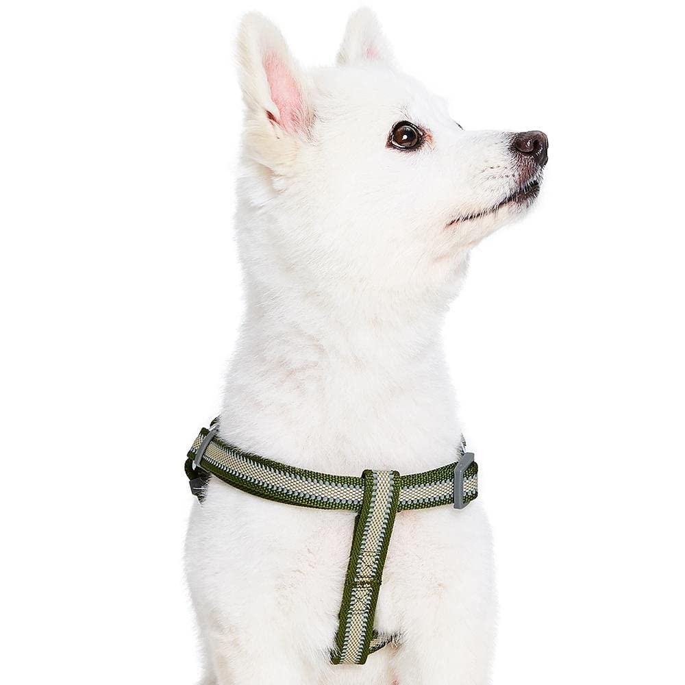 Blueberry Pet Essentials Step-in Reflective Dog Harness - Adjustable Dark Olive Large (26