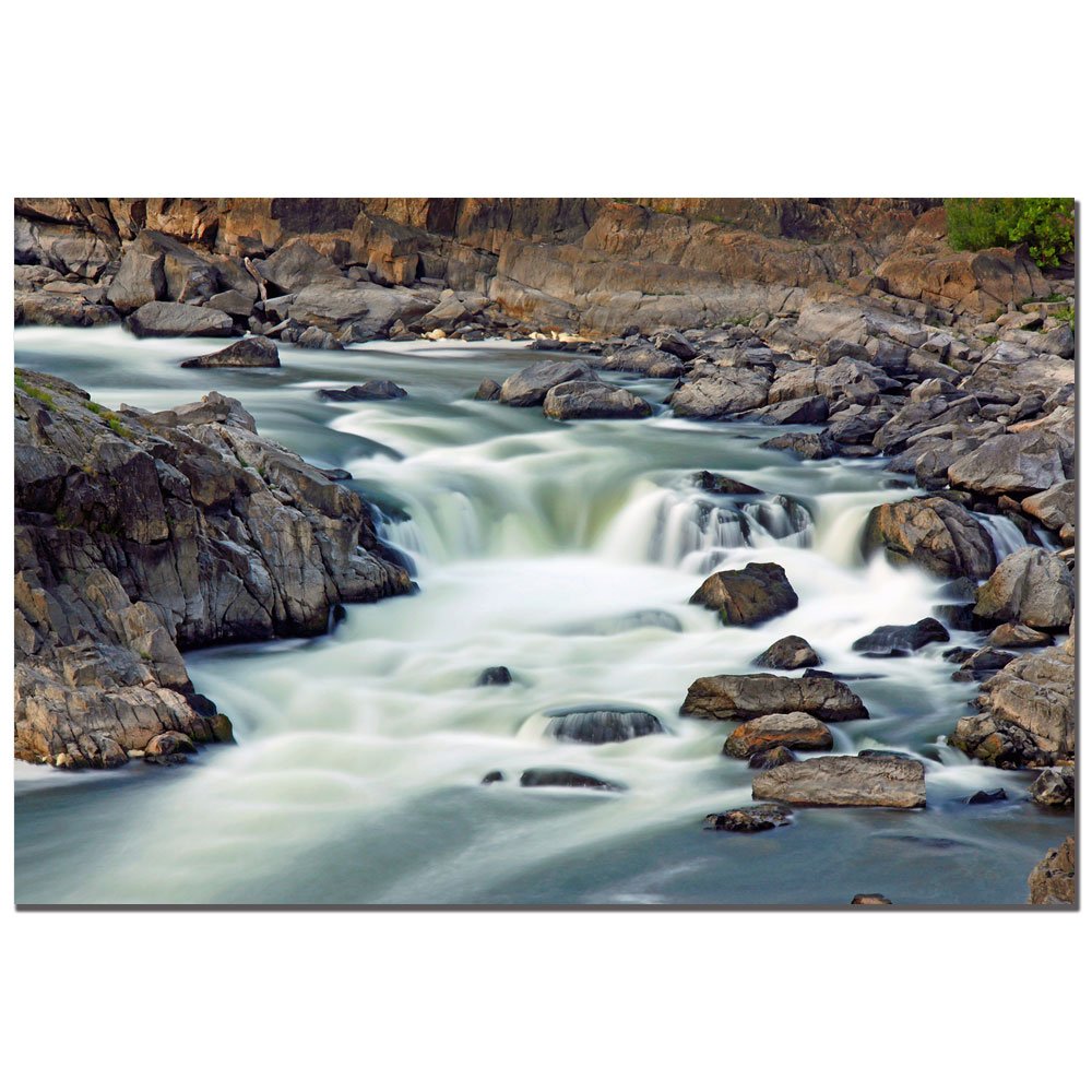 Trademark Fine Art 'A Treasure' by CATeyes - 30x47 Inch Canvas Wall Art for Living Room, Bedroom & Office Decor