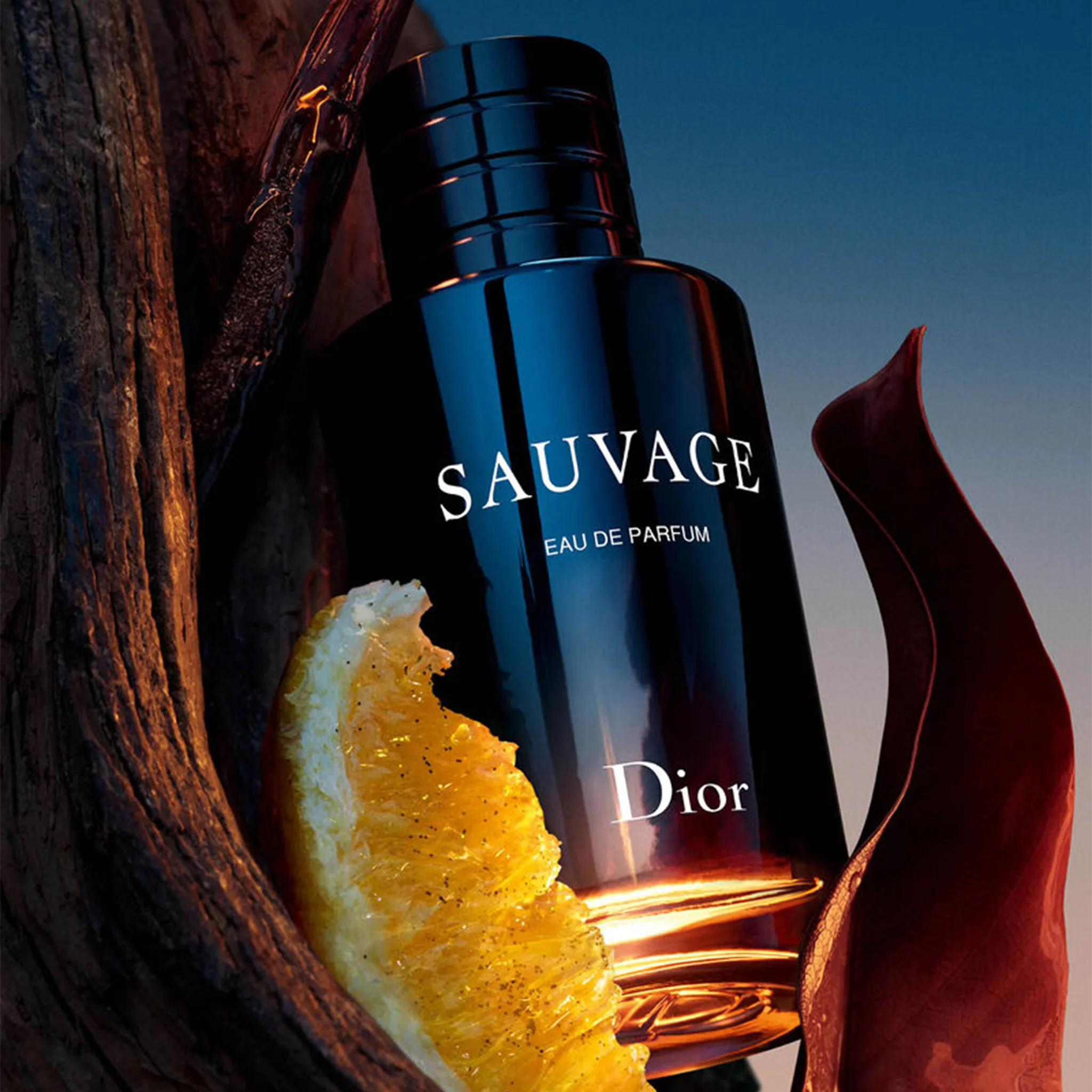 Dior Sauvage Eau De Parfum for Men - Premium Long-Lasting Cologne with Woody Spicy Notes - Perfect for Date Night & Special Occasions