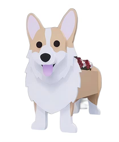 Corgi