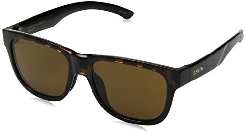 Tortoise / Polarized Brown
