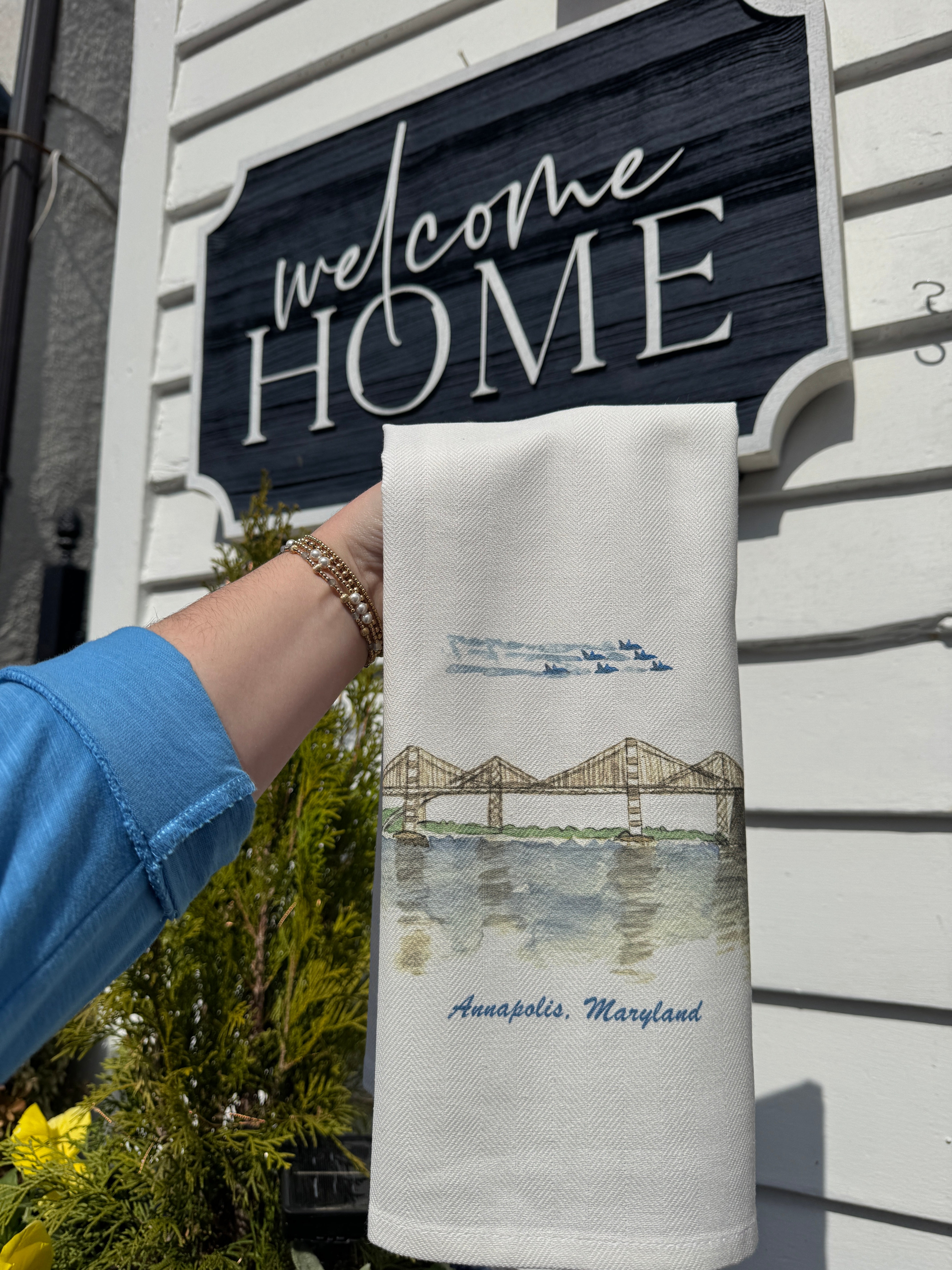 Annapolis Bay Bridge & Blue Angels Collection - Premium Souvenirs & Gifts for Aviation Enthusiasts & Travel Lovers - Perfect for Home Decor, Office Display, and Special Occasions