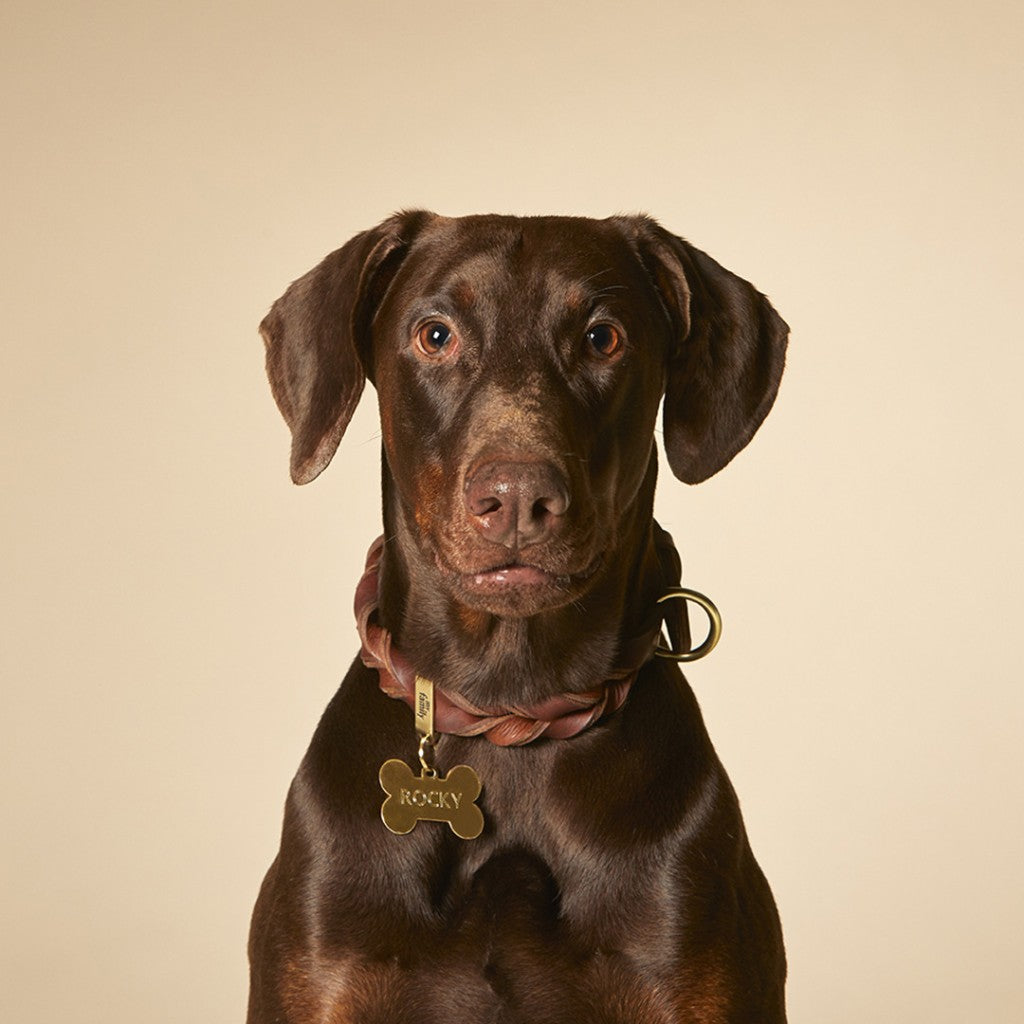 Large Gold Brass Dog Bone-Shaped ID Tag - Personalized Pet Name & Phone Number - Perfect for Collars, Training & Pet Safety