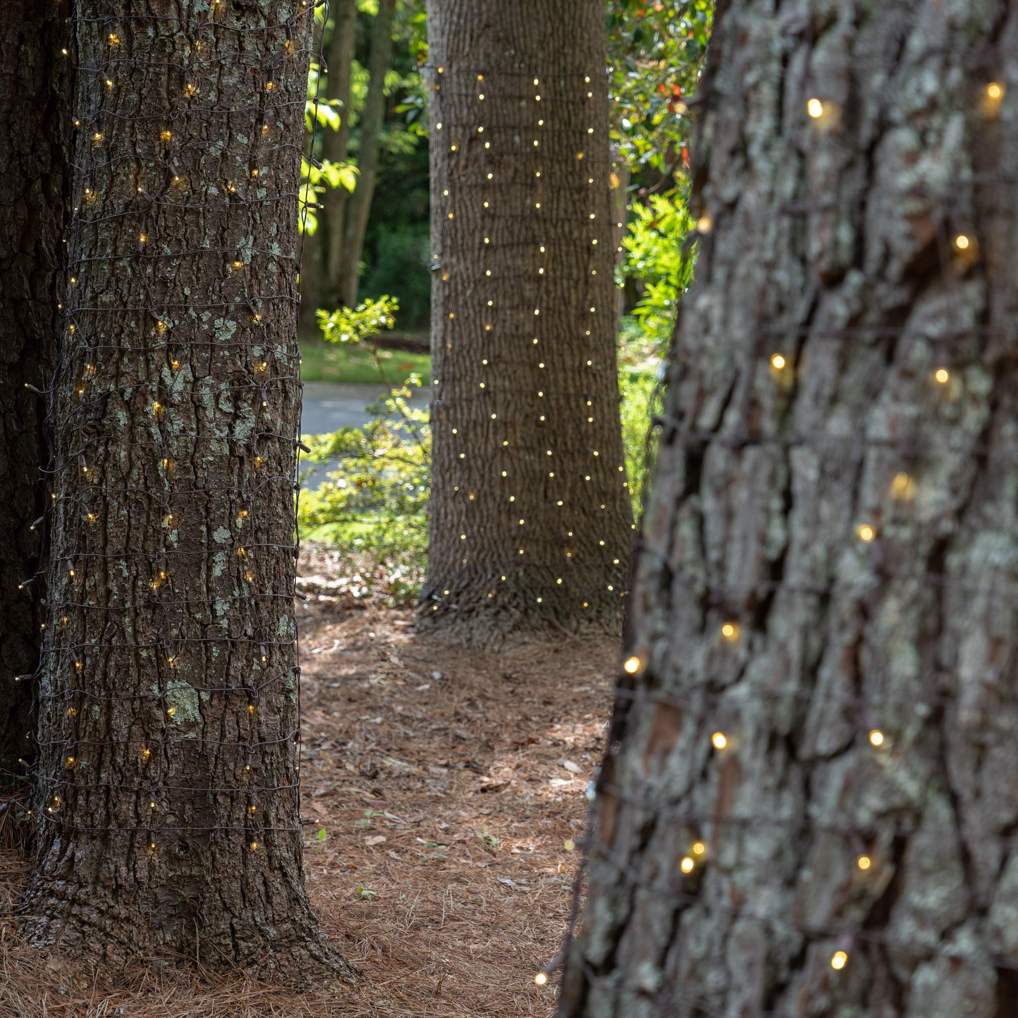 Wintergreen Lighting LED Tree Trunk Wrap Lights - 100 Warm White Christmas Lights with 2' x 6' Net & Brown Wire for Outdoor Holiday Decor | Perfect for Wrapping Trees, Bushes, and Yard Decorations