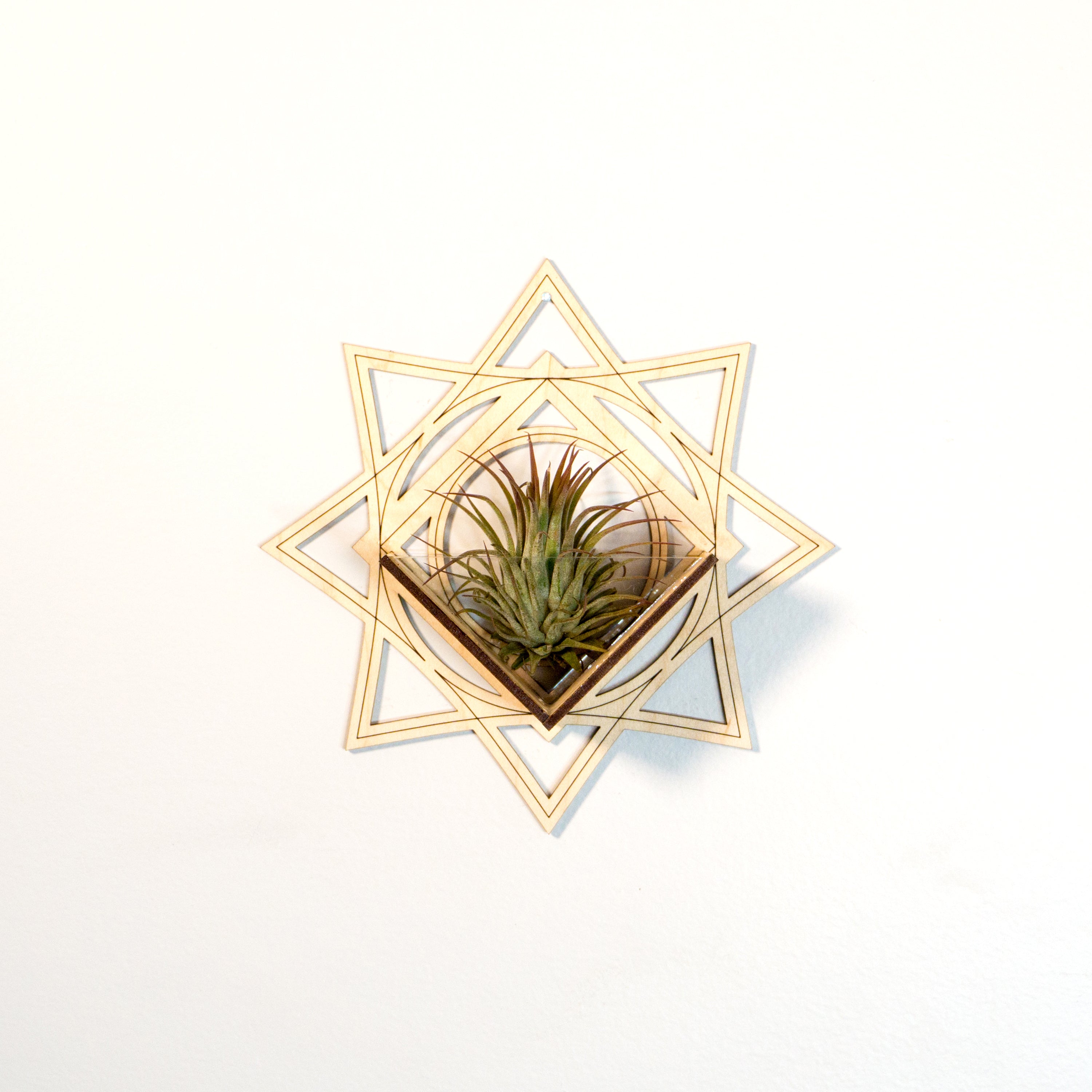 Handmade Wood Wall Hanging Planter - Air Plant Holder with Star Art Design for Home Decor | Perfect Plant Lover Gift Idea for Living Room, Bedroom, or Office Display