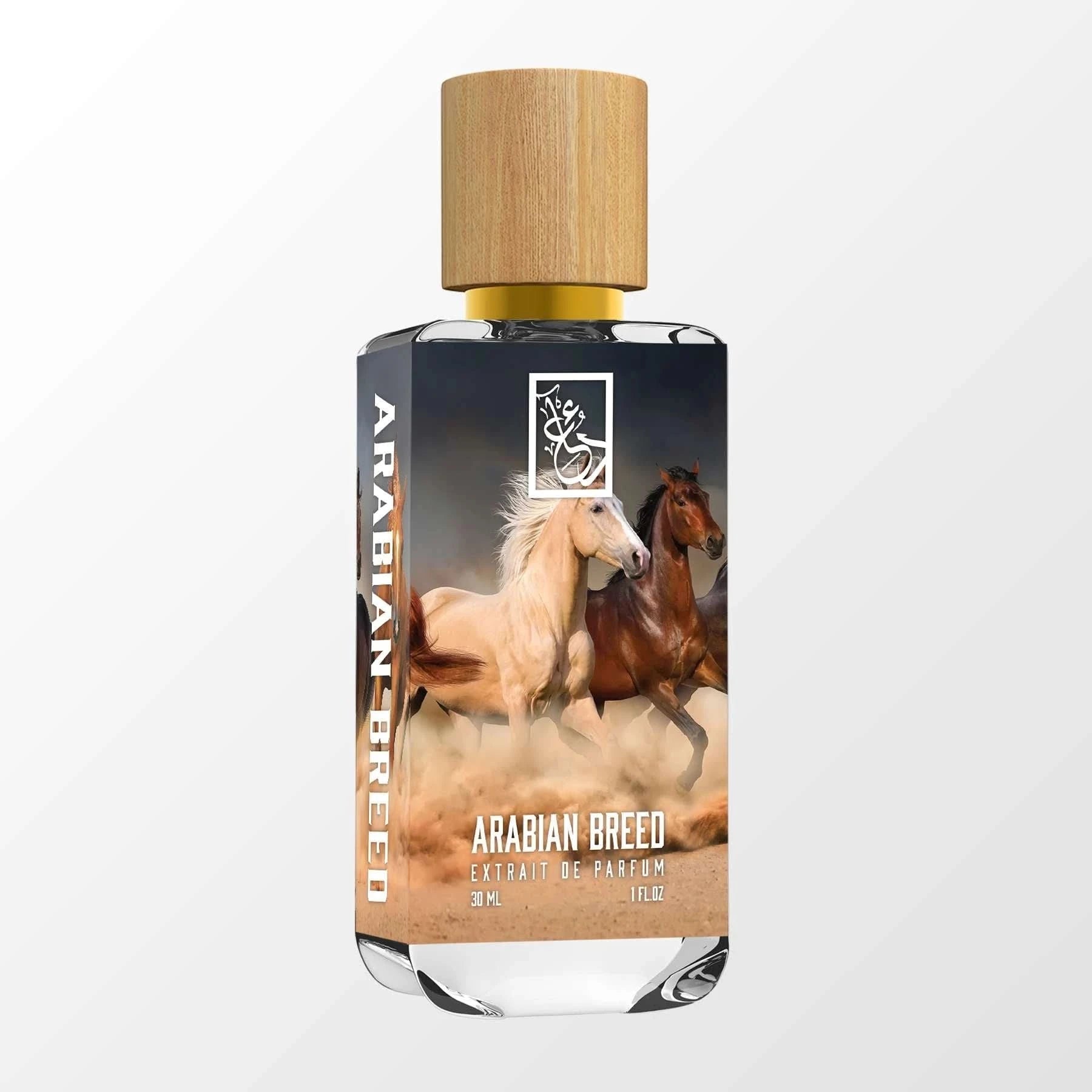 Premium Arabian Horse Breed for Sale - Purebred Arabian Horses for Riding, Shows & Breeding | Perfect for Equestrian Enthusiasts & Horse Lovers