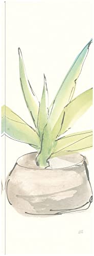 Succulent III Crop