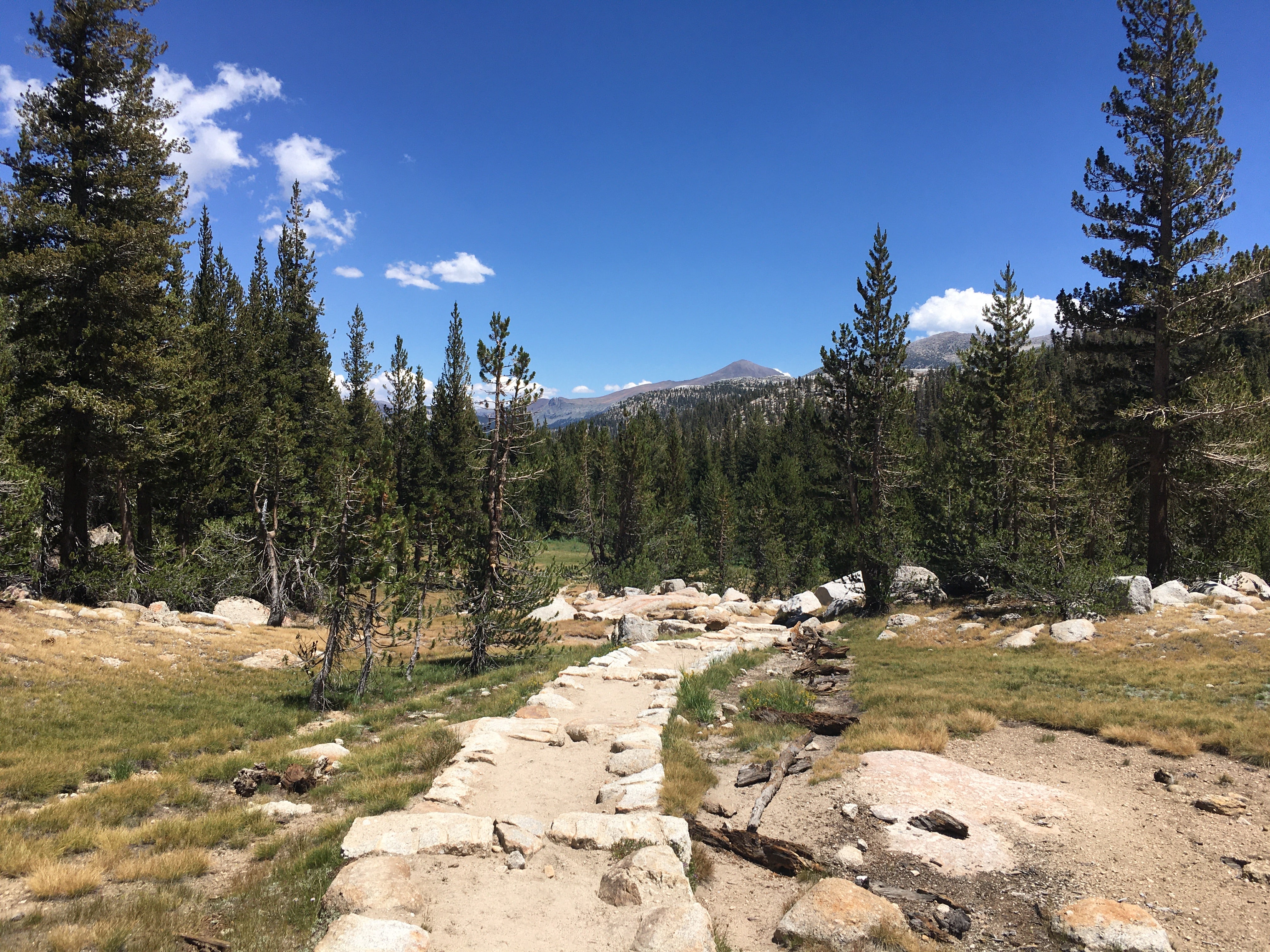 Best Lightweight Backpacking Gear for Yosemite National Park - Vogelsang High Sierra Camp Essentials | Hiking & Camping Equipment