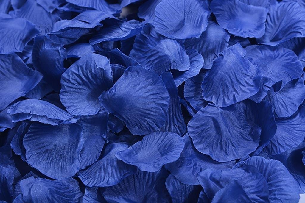 1000 Pcs Navy Silk Rose Petals for Wedding Decorations - Romantic Aisle Scatter, Table Centerpieces & Bridal Shower Decor