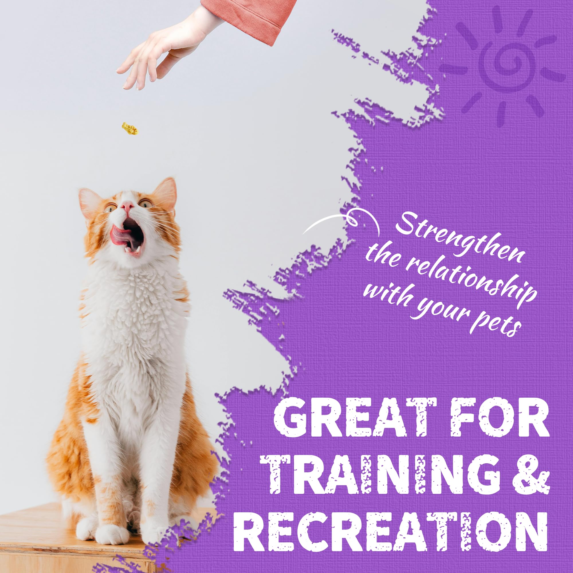 13.4 OZ Natural Salmon Flavor Lysine Cat Treats - Healthy Training Biscuits & Dental Care Snacks for Cats & Kittens - Perfect for Training Rewards and Oral Health Maintenance