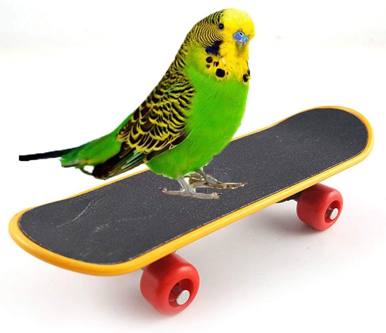 Bird Training Skateboard Toy - Mini Intelligence Skateboard for Budgies, Parakeets, Cockatiels, Lovebirds & Conures - Fun Perch Toy for Small & Medium Birds - Perfect for Playtime & Training Sessions