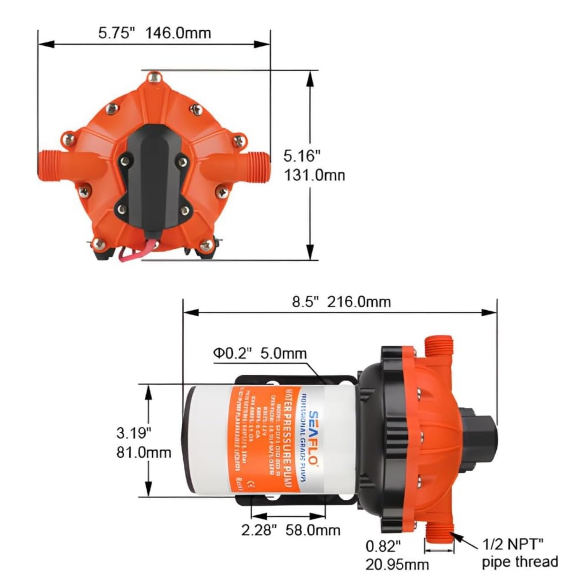 SEAFLO 55-Series 12V DC Diaphragm Water Pump - 5.5 GPM, 60 PSI with Heavy Duty Pressure Switch | Self-Priming, Quiet Operation, 4-Year Warranty | Perfect for RV Water Systems, Marine Applications, Off-Grid Living & Portable Water Transfer
