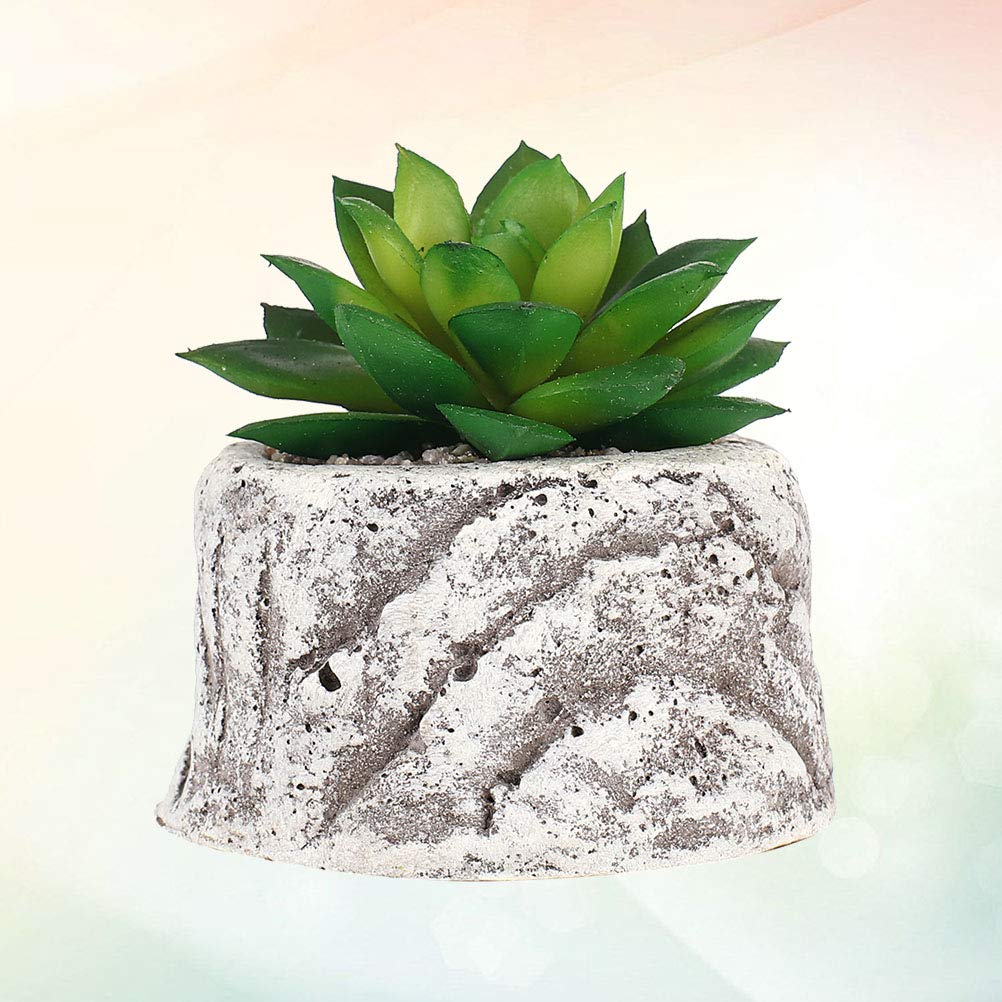 VICASKY Decorative Succulent Plant Pots - Ceramic Flower Pots for Cactus, Aloe Vera, Small Plants - Perfect for Home, Office, Garden Decor and Gift Ideas