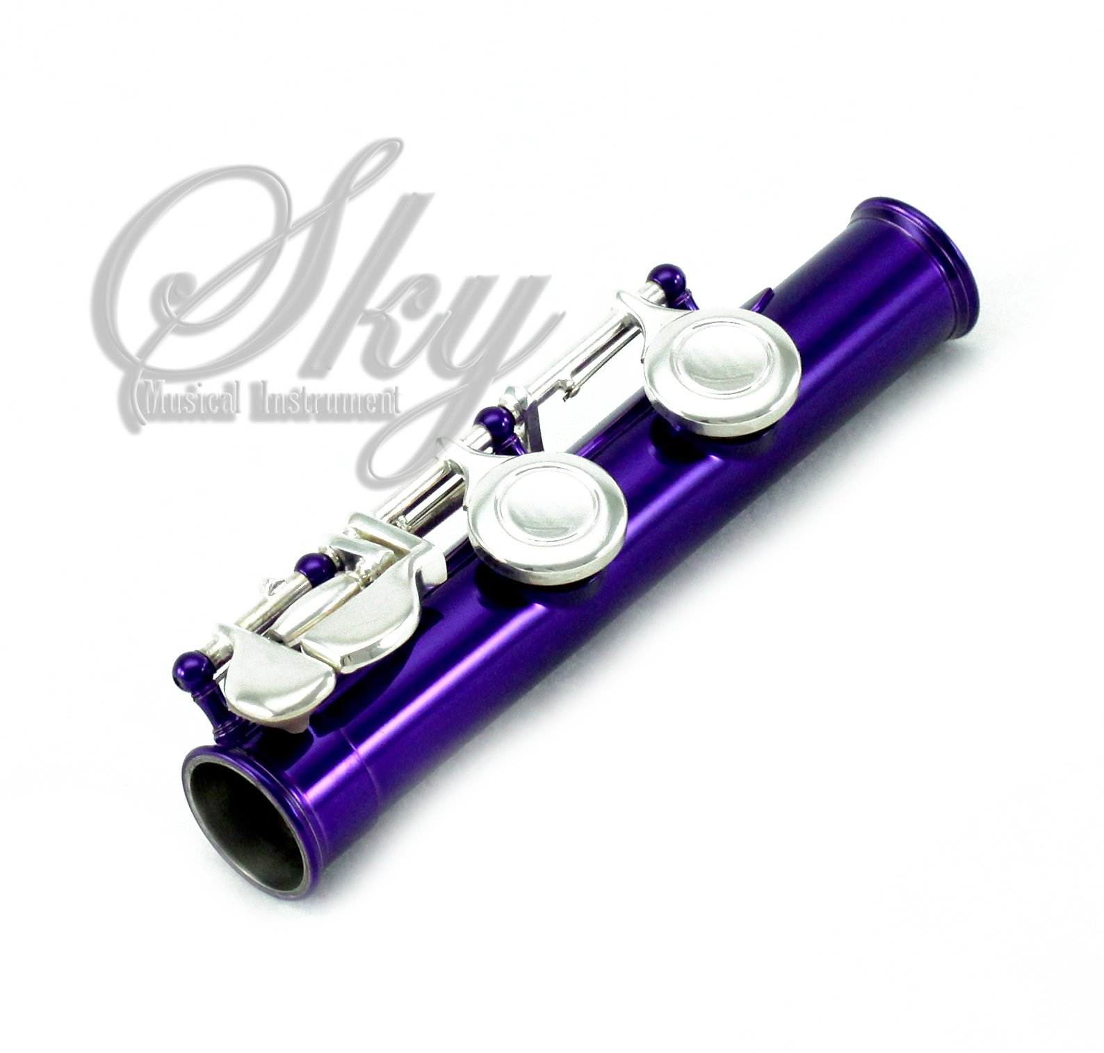 Professional Sky C Flute with Lightweight Case - Includes Cleaning Rod, Cloth, Joint Grease & Screwdriver - Purple/Silver Closed Hole Flute for Beginners & Students | Perfect for School Bands, Practice & Performances