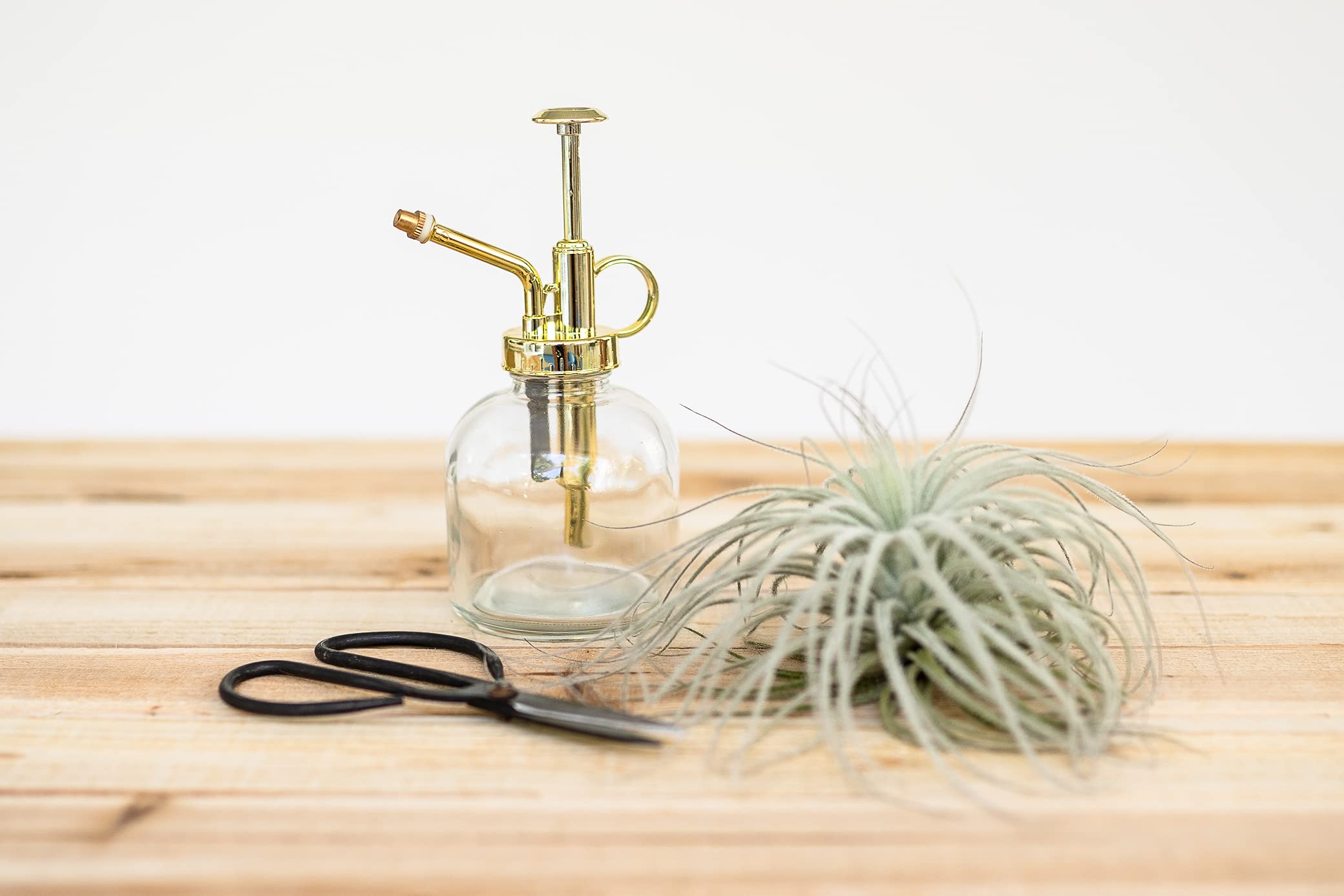 Premium Glass Plant Watering Mister - 8oz Gold Accent Spray Bottle for Indoor Plants | Ergonomic Single-Hand Design | Perfect for Succulents, Orchids & Houseplant Care