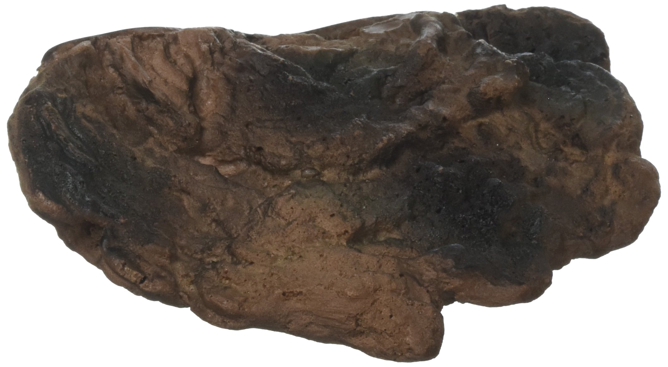Naturalistic Terrarium Mushroom Ledge - Decorative Reptile Habitat Accessory for Frogs, Geckos & Lizards - Perfect for Bioactive Vivarium & Jungle-Themed Enclosures