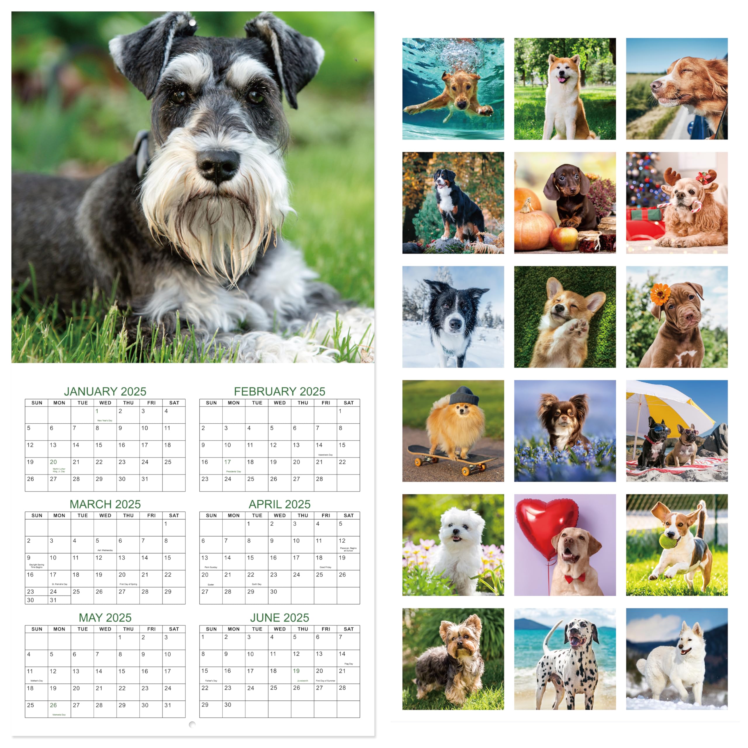 2025-2026 Wall Calendar - 18 Month Large Monthly Planner from July 2025 to December 2026, 12x24 Inches Open Format with Blank Date Boxes, Funny Office & Home Decor Gift for Coworkers, Friends & Family - Perfect for Planning, Scheduling & Home Organization