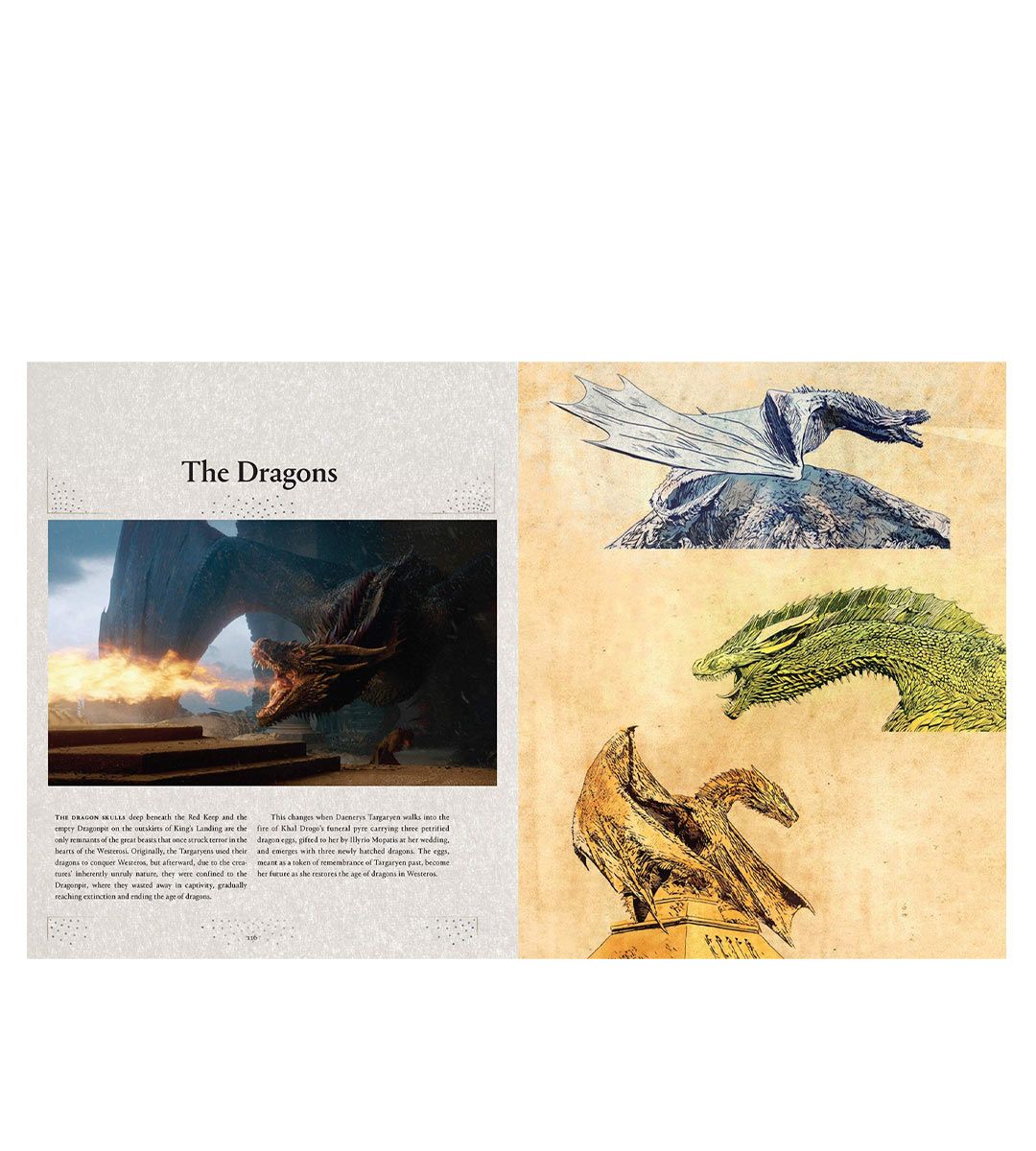 Game of Thrones: The Complete Series - A Guide to Westeros and Beyond | Ultimate Fantasy TV Show Collection for Fans & Collectors | Perfect for Binge-Watching & Gift Giving