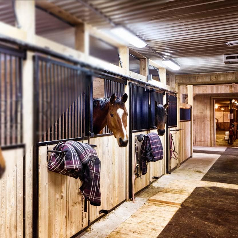4-Piece Wall Mounted Blanket Rack with Tack Rack - 33.8 Inch Heavy Duty Blanket Bar for Hanging Horse Blankets, Saddle Pads & Stable Accessories - Perfect for Barn Organization & Equestrian Gear Storage