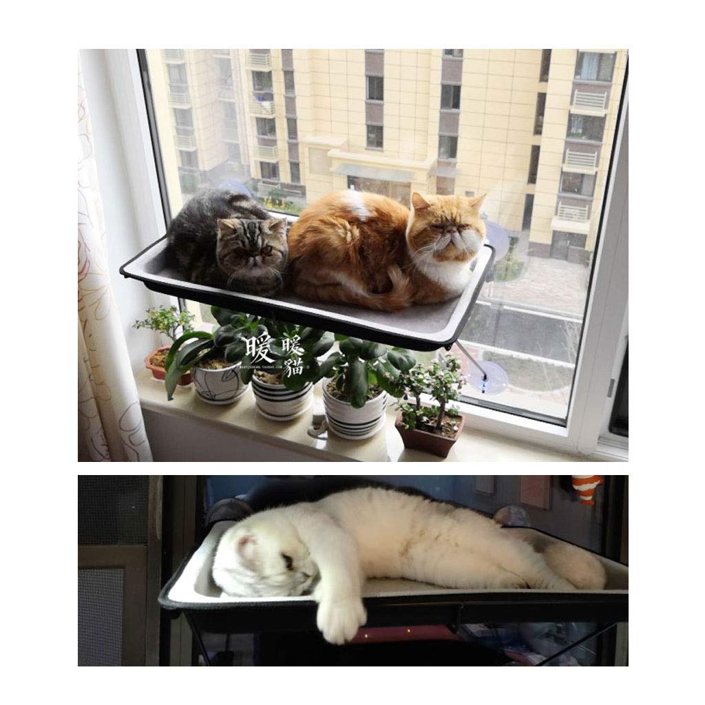 Premium Cat Window Bed with Suction Cups - Cozy 360° Sunbath Perch, Space-Saving Hammock & Safety Shelf for Indoor Cats - Perfect for Lounging, Napping & Bird Watching (Orange) - 6 Color Options Available