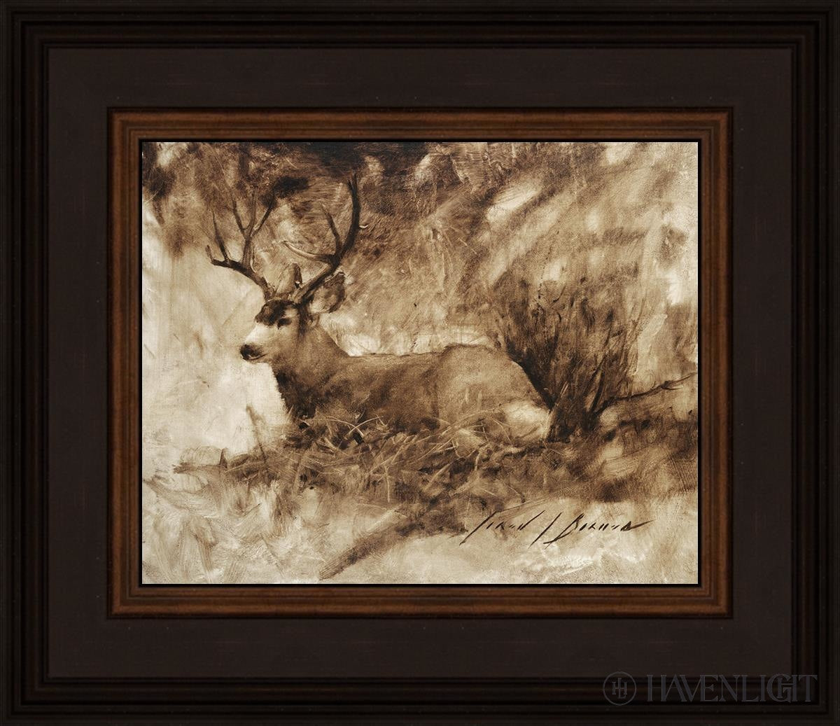 Bedded Buck By Jared Barnes - Premium Hunting & Outdoor Gear for Camping, Hiking & Adventure Enthusiasts