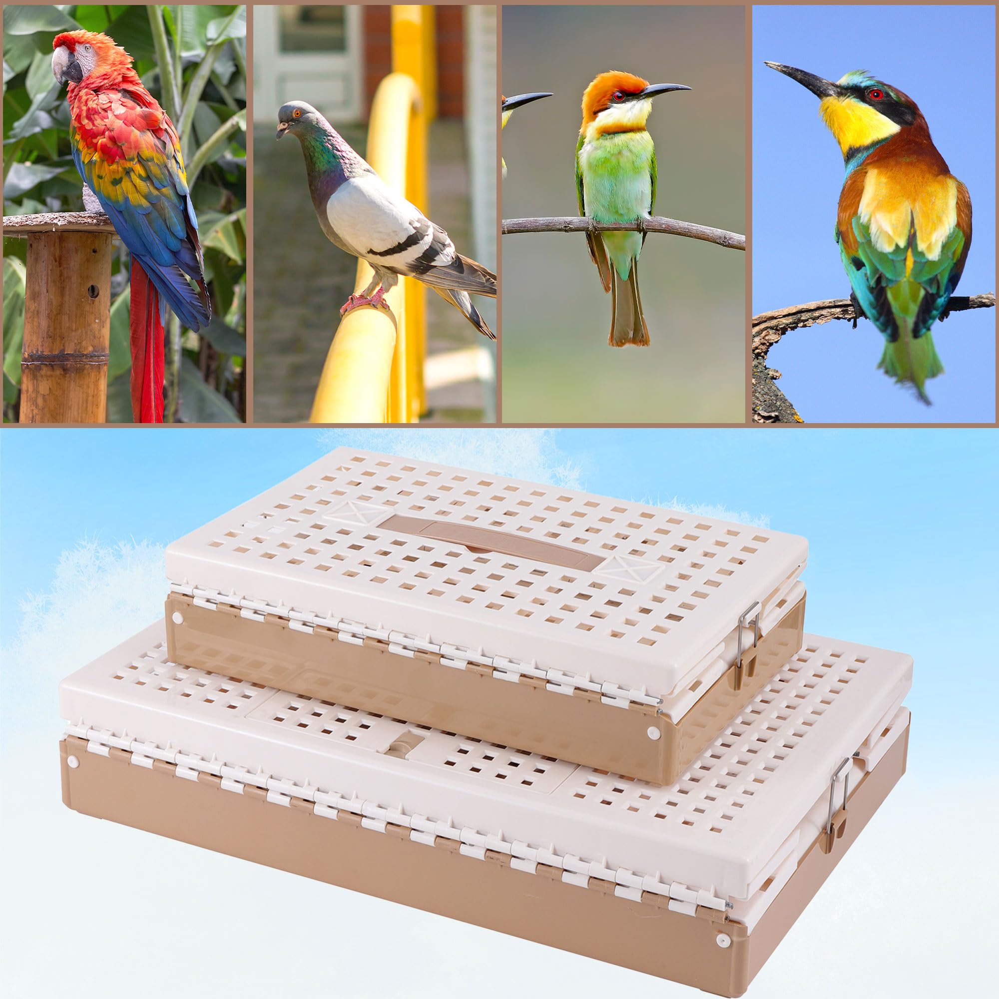 Portable Plastic Folding Pigeon Cage - XL Travel Carrier for Pet Birds, Pigeon Nest Box & Training Cage | Easy to Clean | Ideal for Bird Shows, Racing Competitions & Outdoor Activities