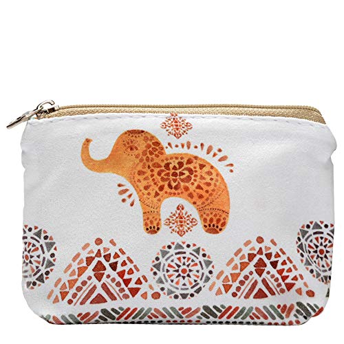 Cute Small Elephant