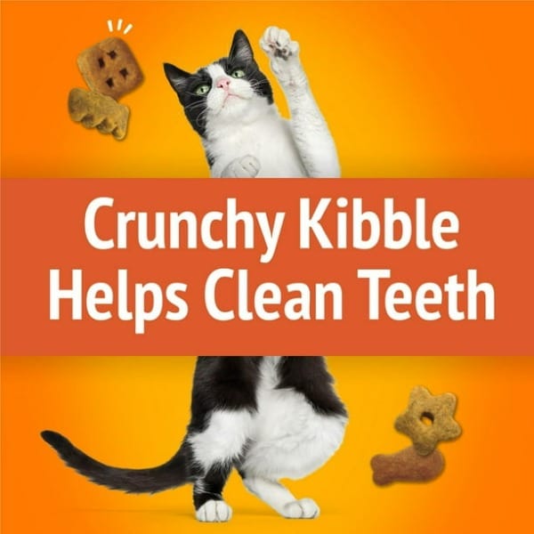 Friskies Party Mix Original Crunch Cat Treats - Delicious Crunchy Snacks for Cats - Perfect for Training, Rewards & Playtime