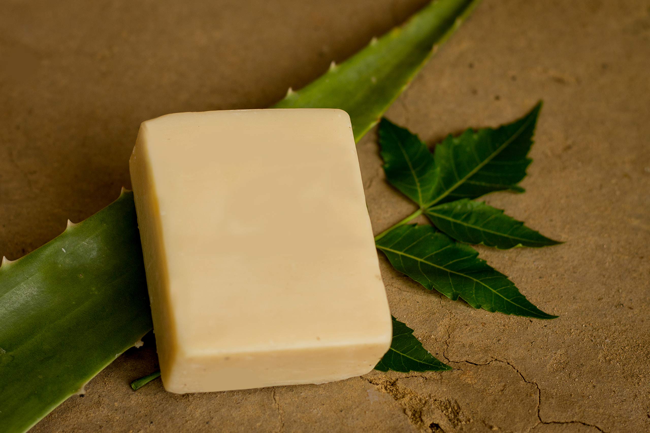 Neev Herbal Handmade Soap - Aloe Neem Tea Tree Natural Soap with Healing & Soothing Oils for Dry, Sensitive Skin - 100g Organic Ayurvedic Soap for Daily Cleansing & Aromatherapy